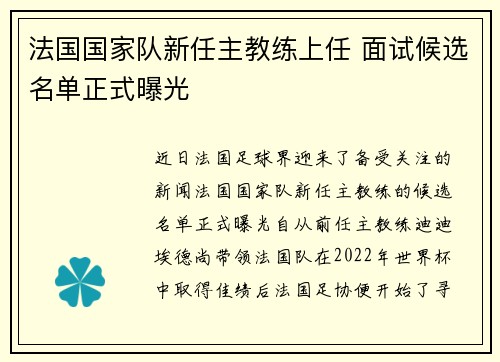 法国国家队新任主教练上任 面试候选名单正式曝光
